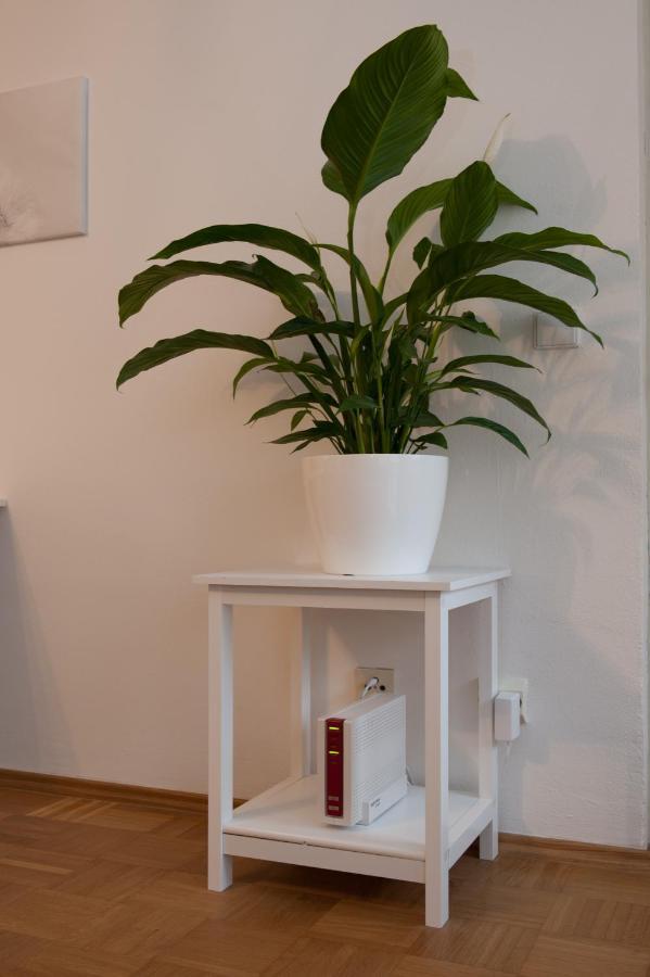 Studio Apartment - Zentral Mit Parkplatz - Balkon Bayreuth Zewnętrze zdjęcie